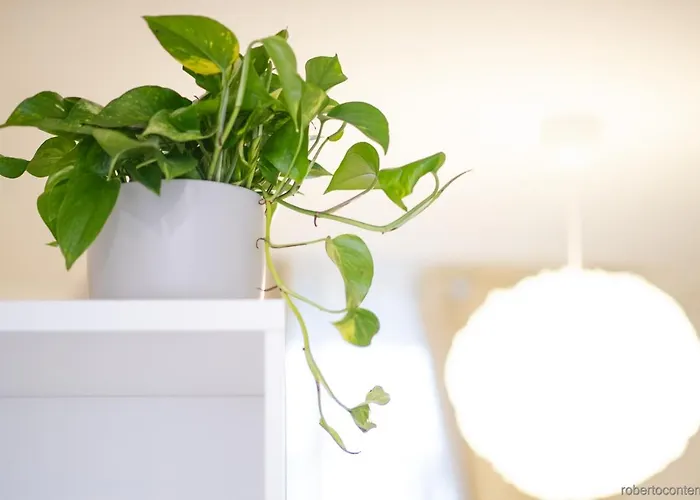 Apartamento A Casa Di Patty *